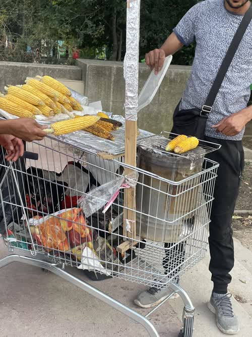 
"The Parisien corn cart affords a table and a secure storage area. It is mobile. Its metal mesh allows for ventilation, while minimizing weight. Combined with tensioned lumber, the mesh can secure a tin can. The can, with two large perforations, serves as a brazier. Its support and holster combine to form a buffer, avoiding burns. Elements can be positioned in transveral increments of an inch, as well as placed at three distinct vertical positions. Signage can be attached with ease.

"The corn cart is exemplar of post-industrial bricolage. It takes advantage of existing infrastructure (shopping cart, industrial lumber, and tin can production), distorting it to new unimagined uses. In recycling mass-produced industrial dejects, it takes advantage of economies of scales. Under conditions of duress, it is easy to acquire. It is a tactic that sustains economic life."
